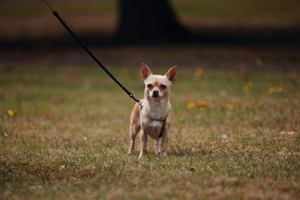 What are the top color palettes for this season's fashion?